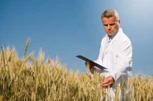 Купить диплом агронома Диплом агронома